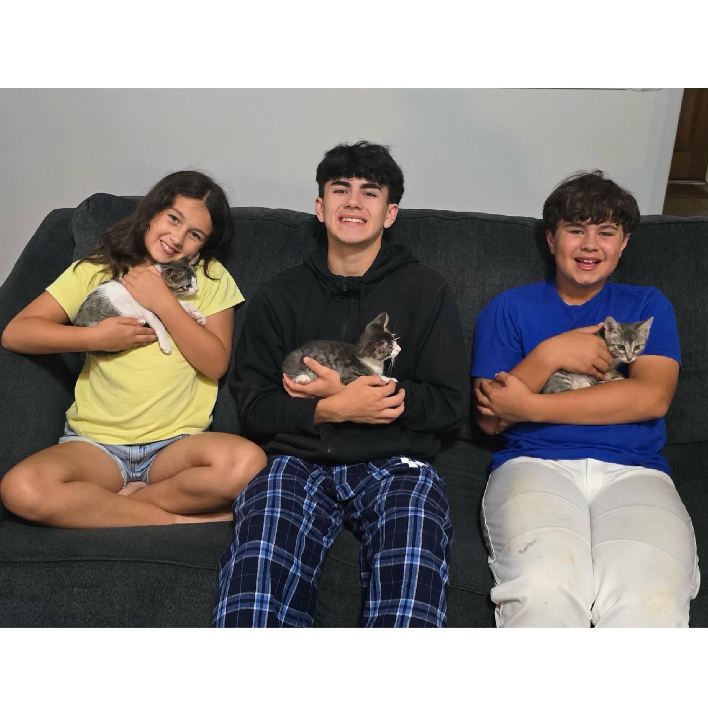 Enlarge Reed , an adopted mixed breed in Kingwood, TX image 6/6