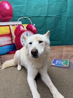 Yuki