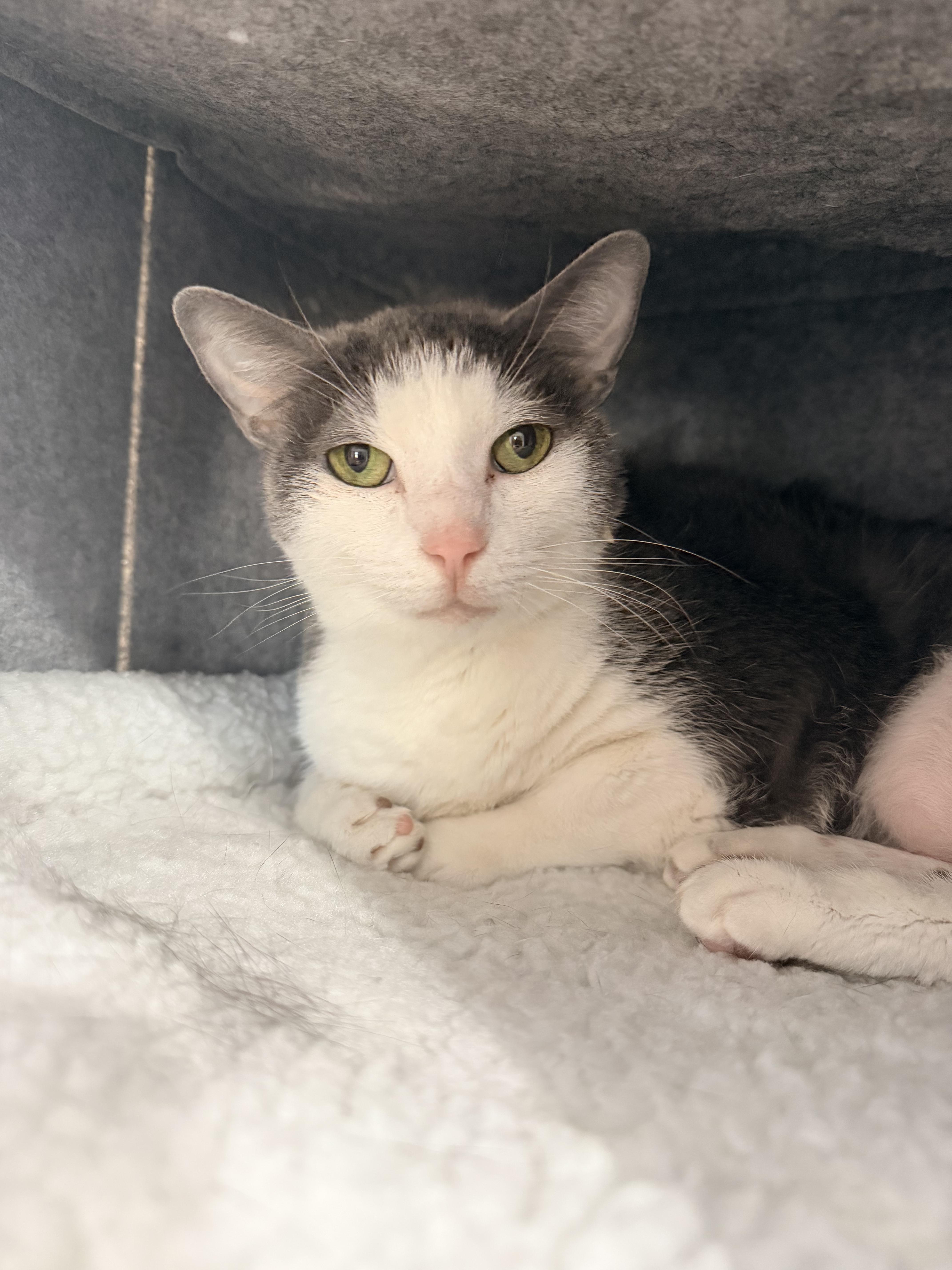 Sandy — thumbnail 2