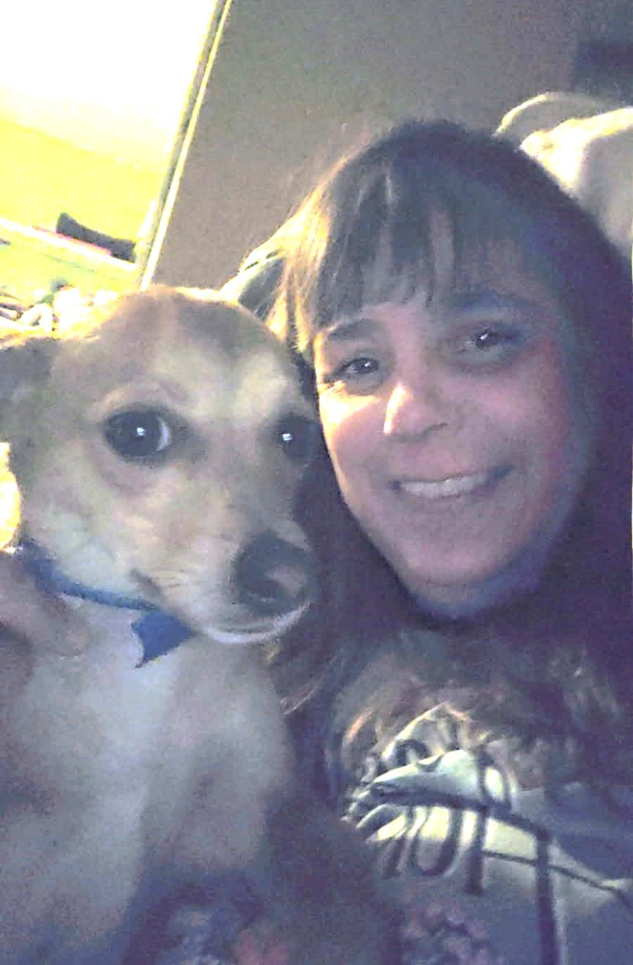 Enlarge Jerry, an adopted mixed breed in Weare, NH image 4/6