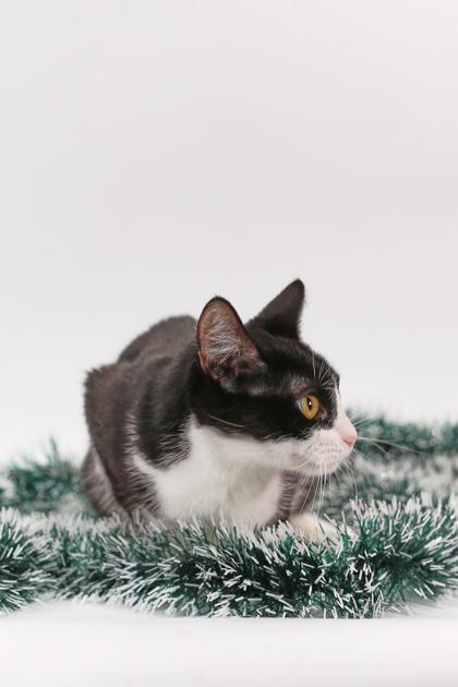 Tina — thumbnail 2