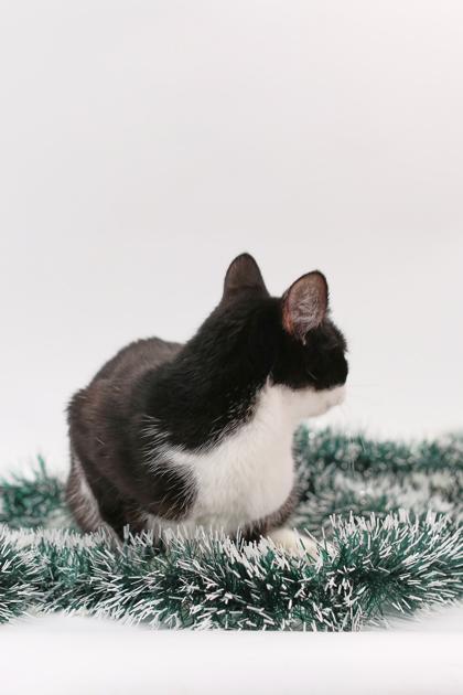 Tina — thumbnail 3