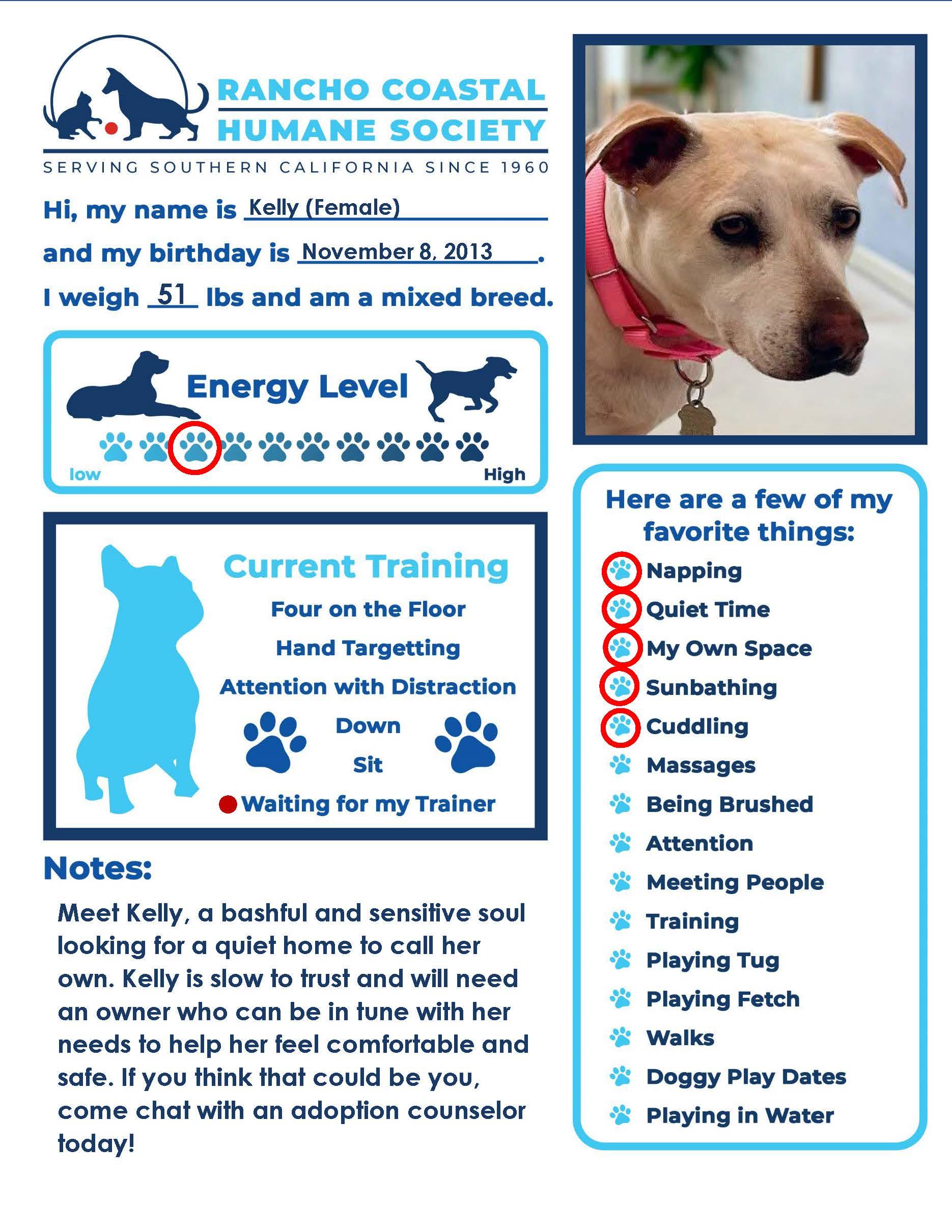 Kelly, a Adoptable mixed breed in Encinitas, CA image 3/6