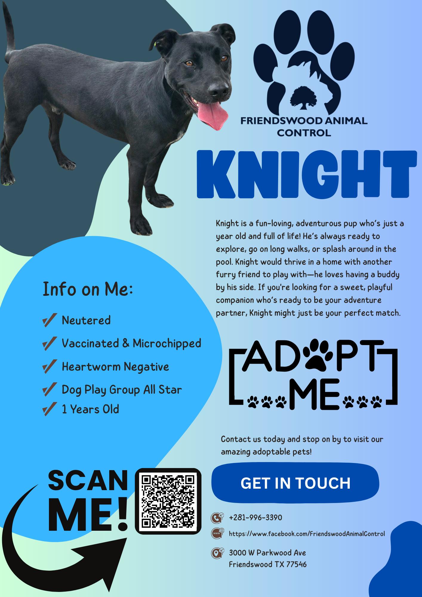 Knight 2