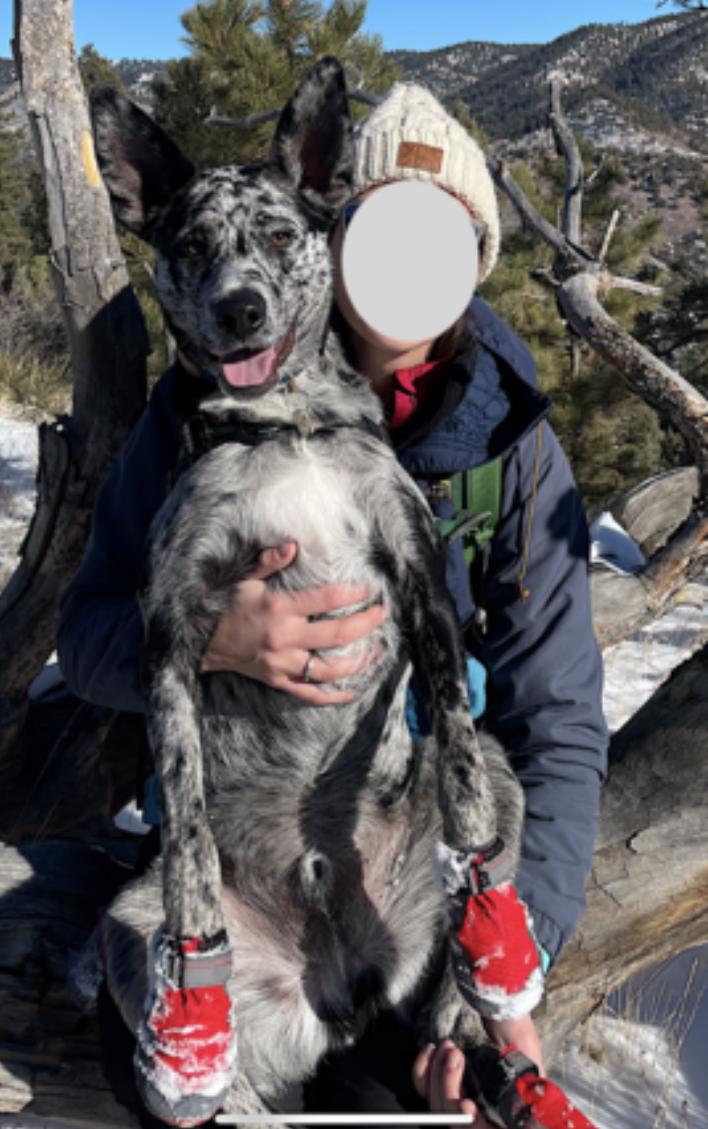 Jasper — thumbnail 2