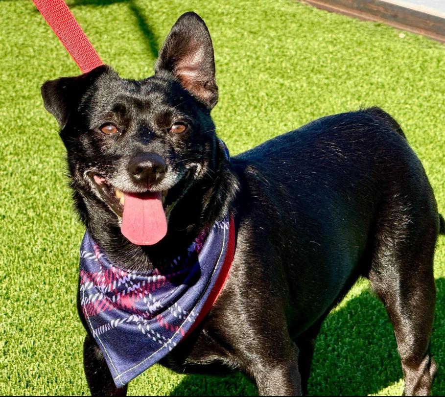 Mack's here: Life of the Paw-ty!