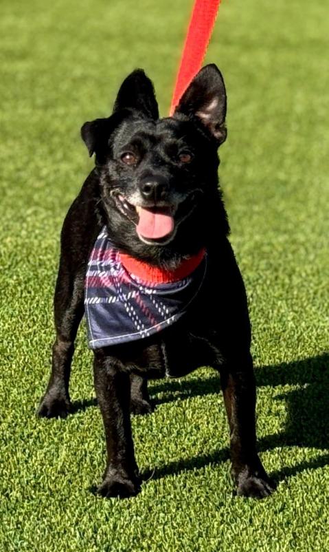 Mack's here: Life of the Paw-ty!