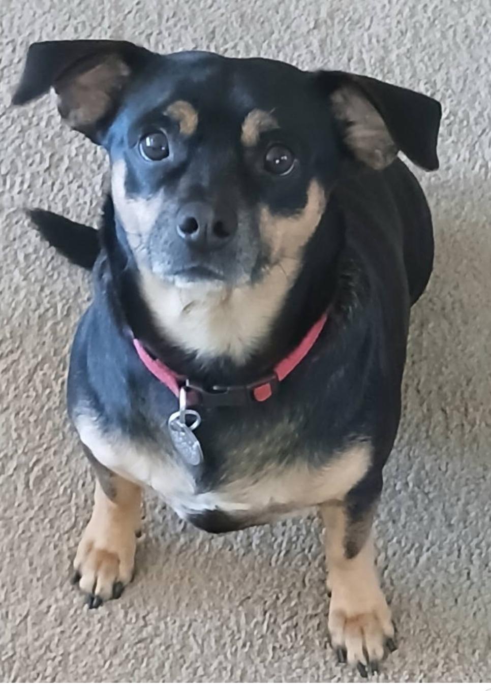 Oscar 4