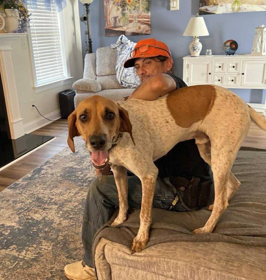 T-Bone, a Adoptable Coonhound in Cumberland, RI image 1/4