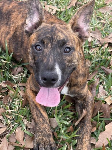 Storm — thumbnail 3