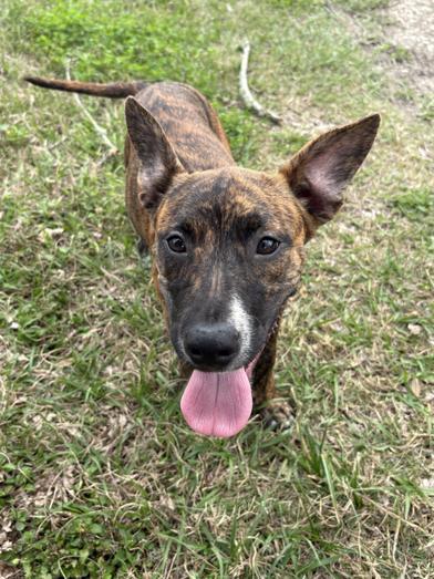 Storm — thumbnail 4