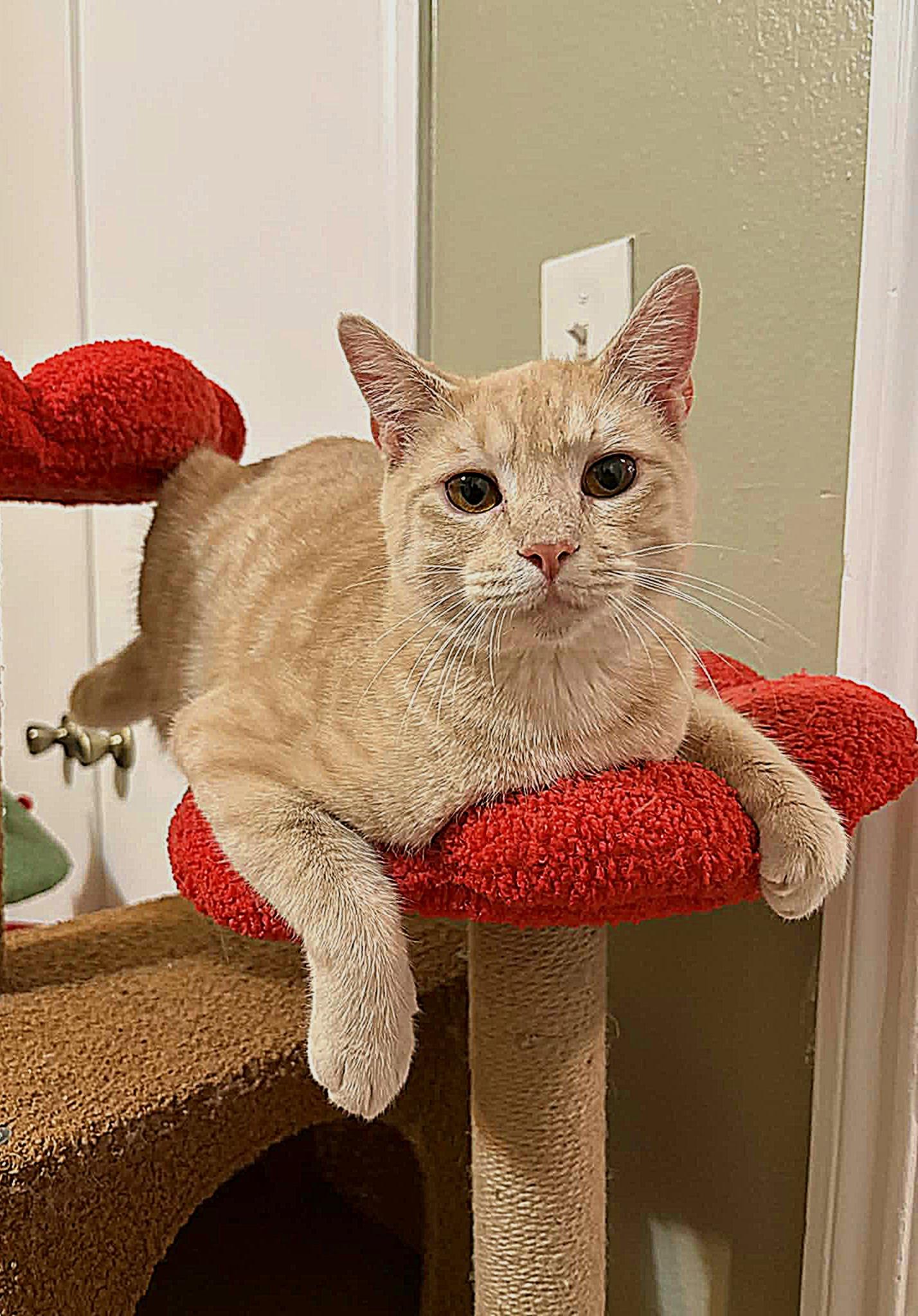 Wuero — thumbnail 2