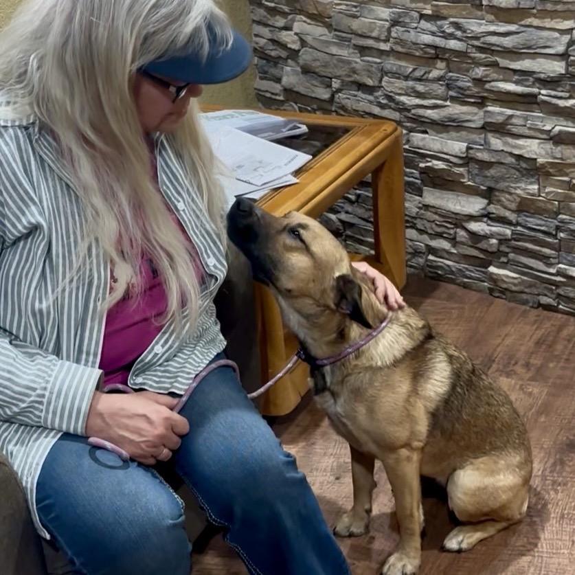 Peach, a Adoptable mixed breed in Kim, CO image 1/4