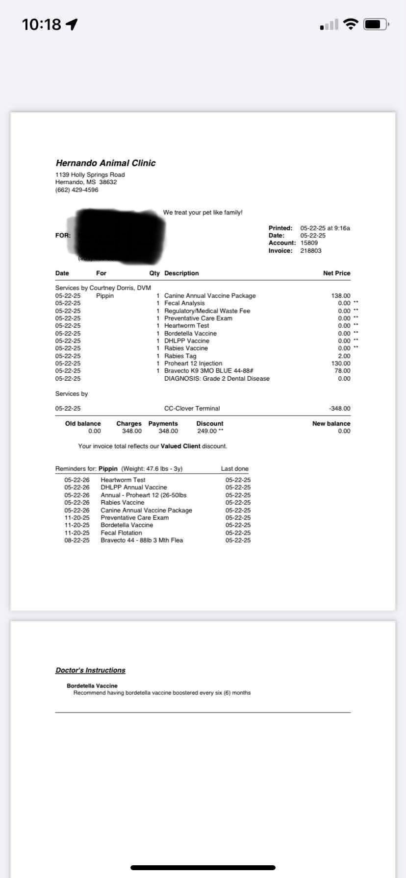 Enlarge ZCL-C-Pippin, a Adoptable mixed breed in Horn Lake, MS image 2/3