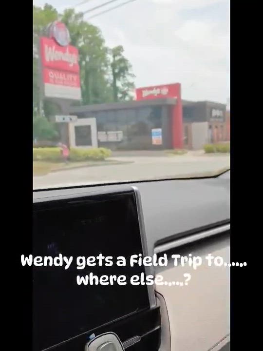 Enlarge Wendy, a Adoptable mixed breed in Palm Harbor, FL video 2/5