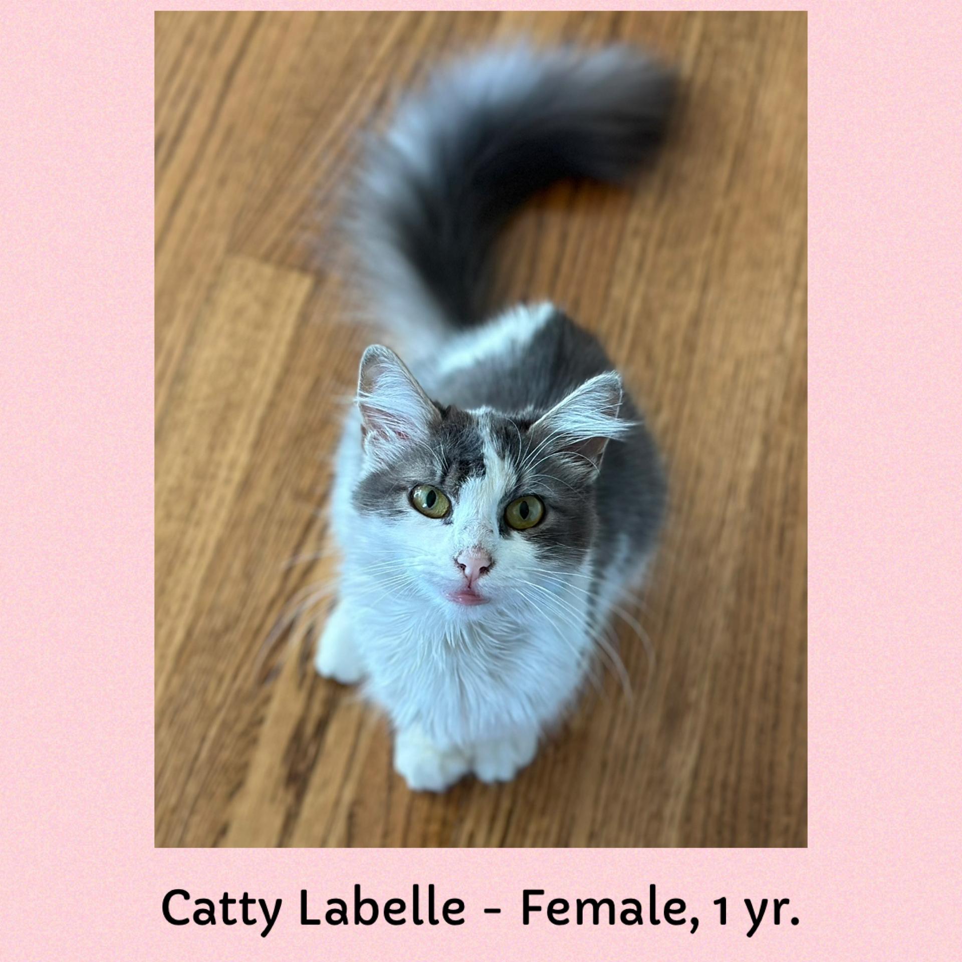 Catty Labelle