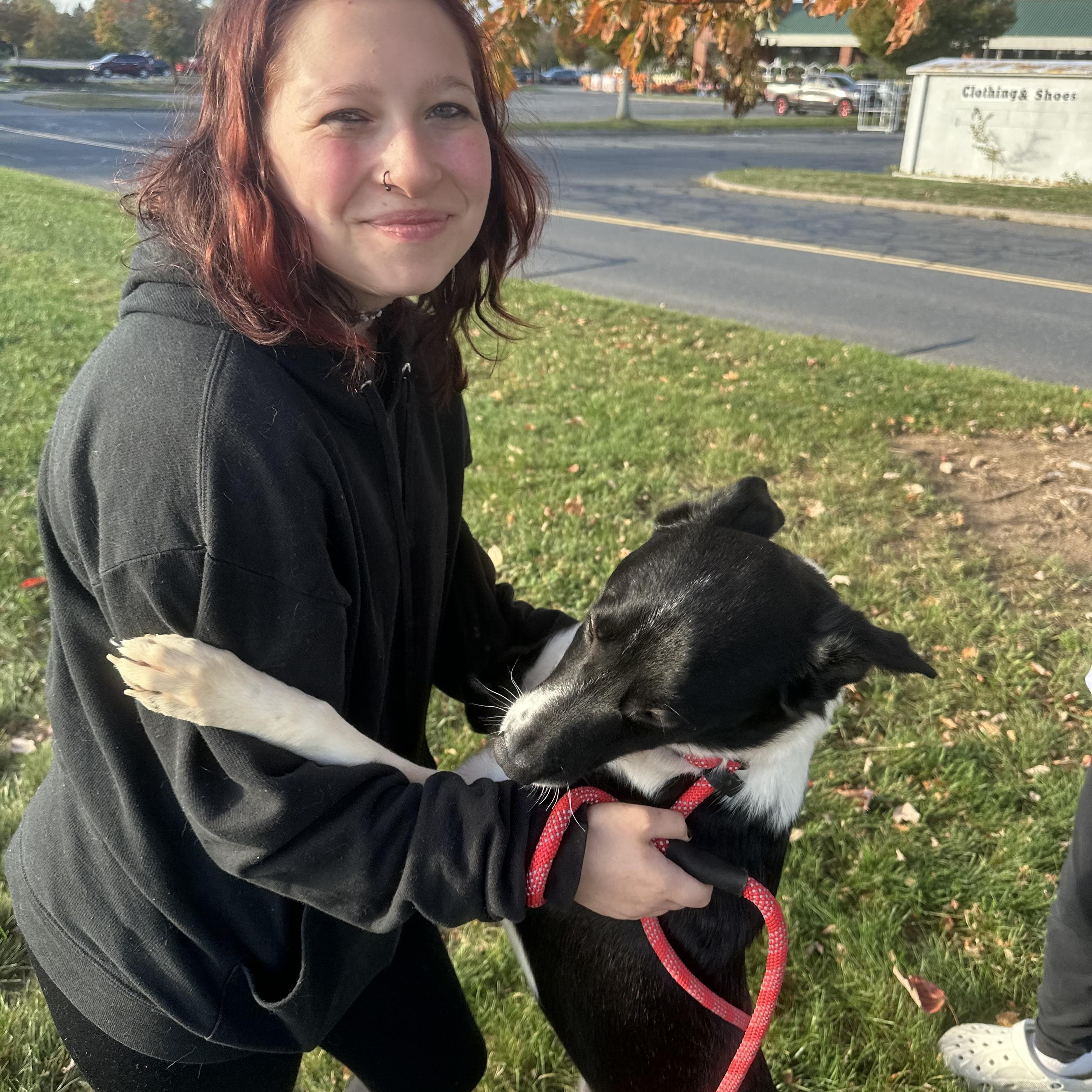 Remus, an adoptable mixed breed in Seabrook, NH image 5/6