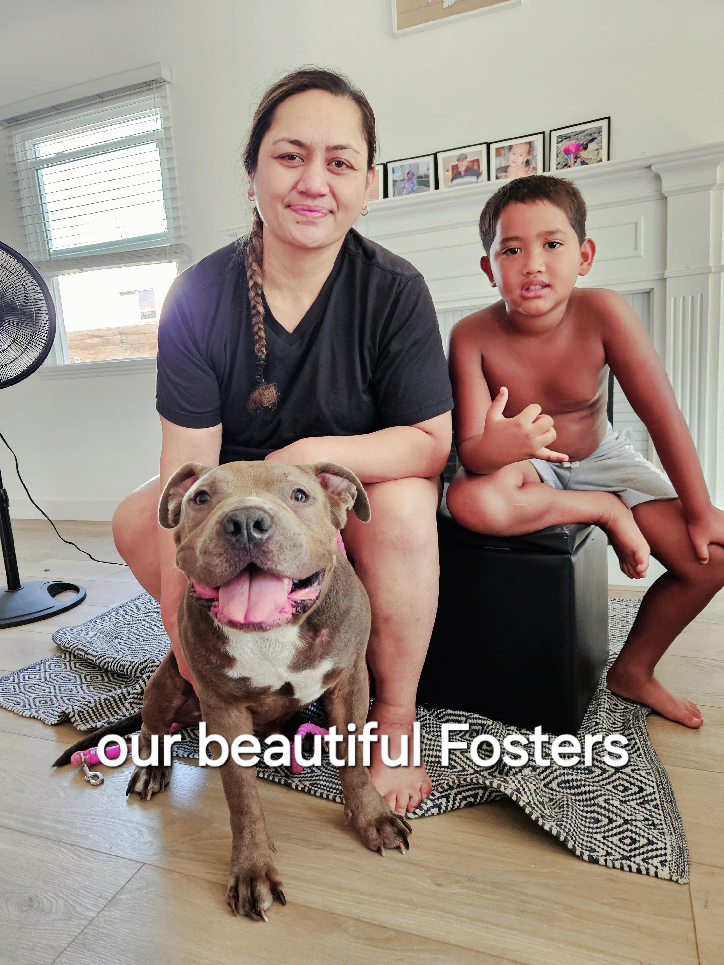 TinyTomBoy, a Adoptable mixed breed in Palos Verdes Estates, CA image 2/3