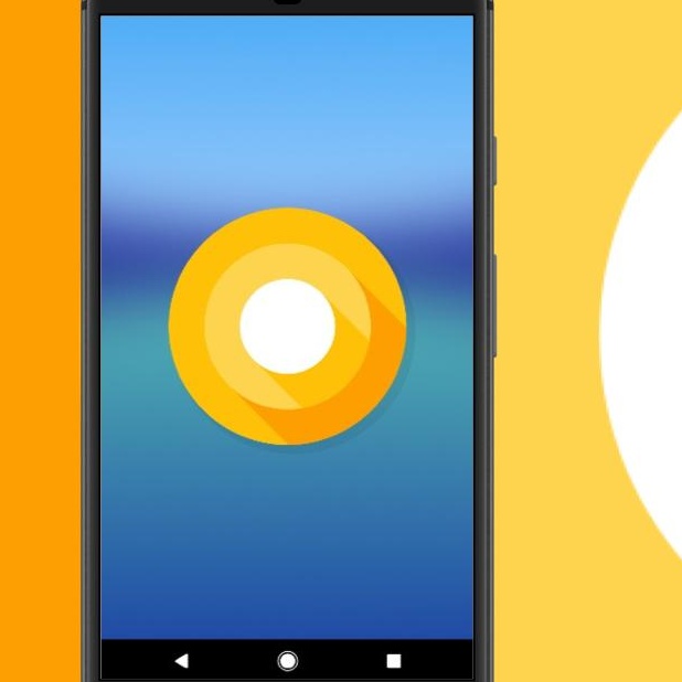 Enlarge Doofuss- iphone 16-myk, a Adoptable Calico in Bettles, AK image 2/5