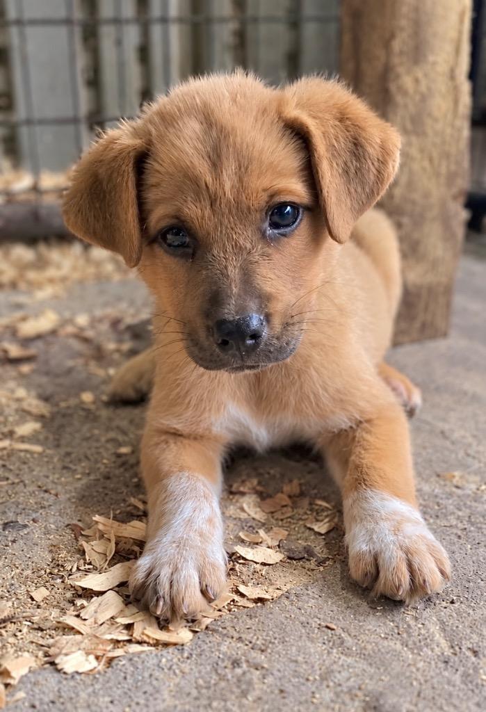 Charlie photo