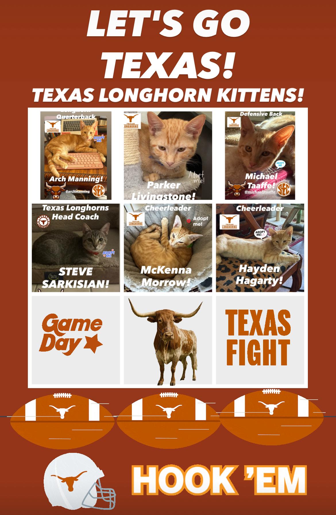 Enlarge Arch Manning & McKenna Morrow *bonded pair*, a Adoptable mixed breed in Austin, TX image 5/5