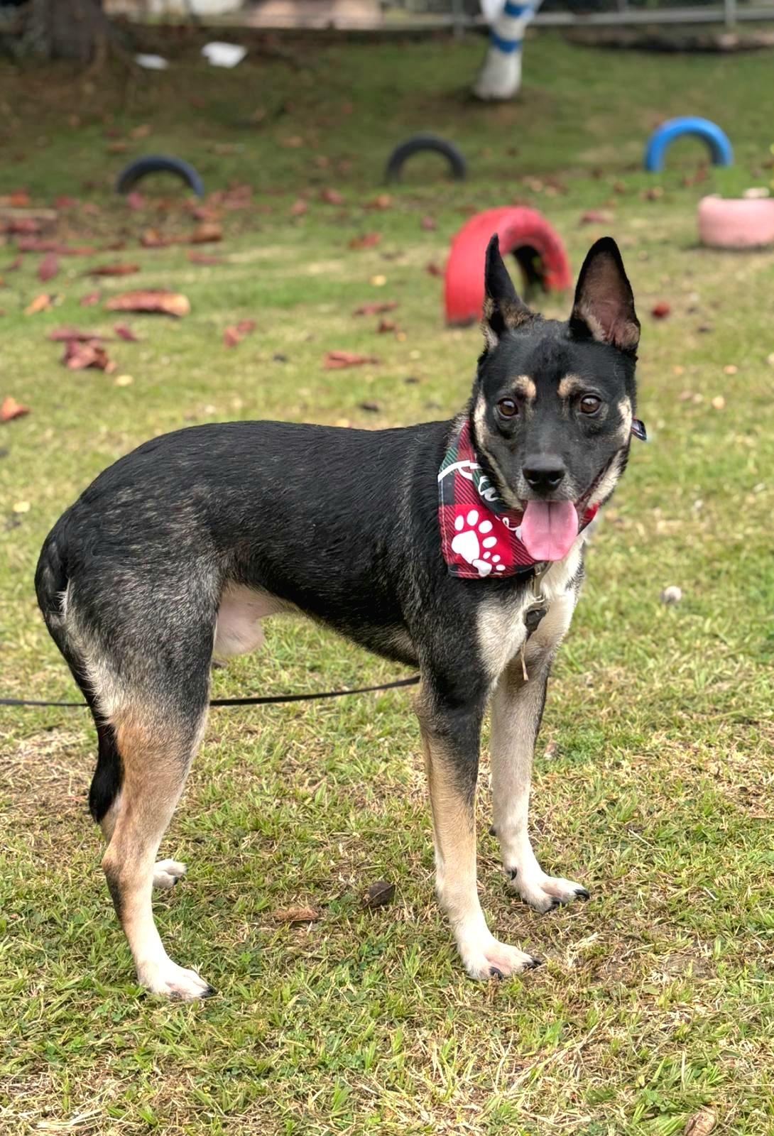 Daddy Yankee "loving & thumbnail 4