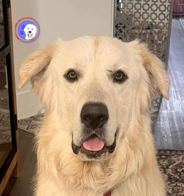 Cullen — thumbnail 2