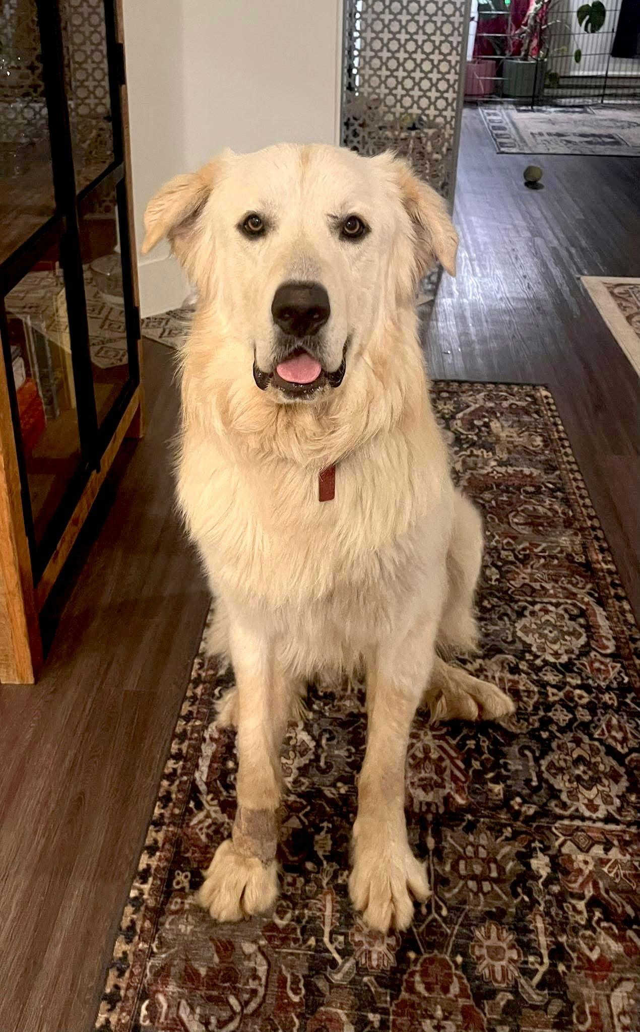 Cullen — thumbnail 3