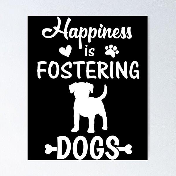 Enlarge Be A Hero, Become A Foster, a ADOPTABLE Mixed Breed in Collingswood, NJ image 1/4