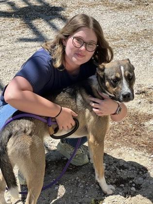 Enlarge Freddie aka Krypto the Magnificent, a Adoptable mixed breed in Lebec, CA image 1/2