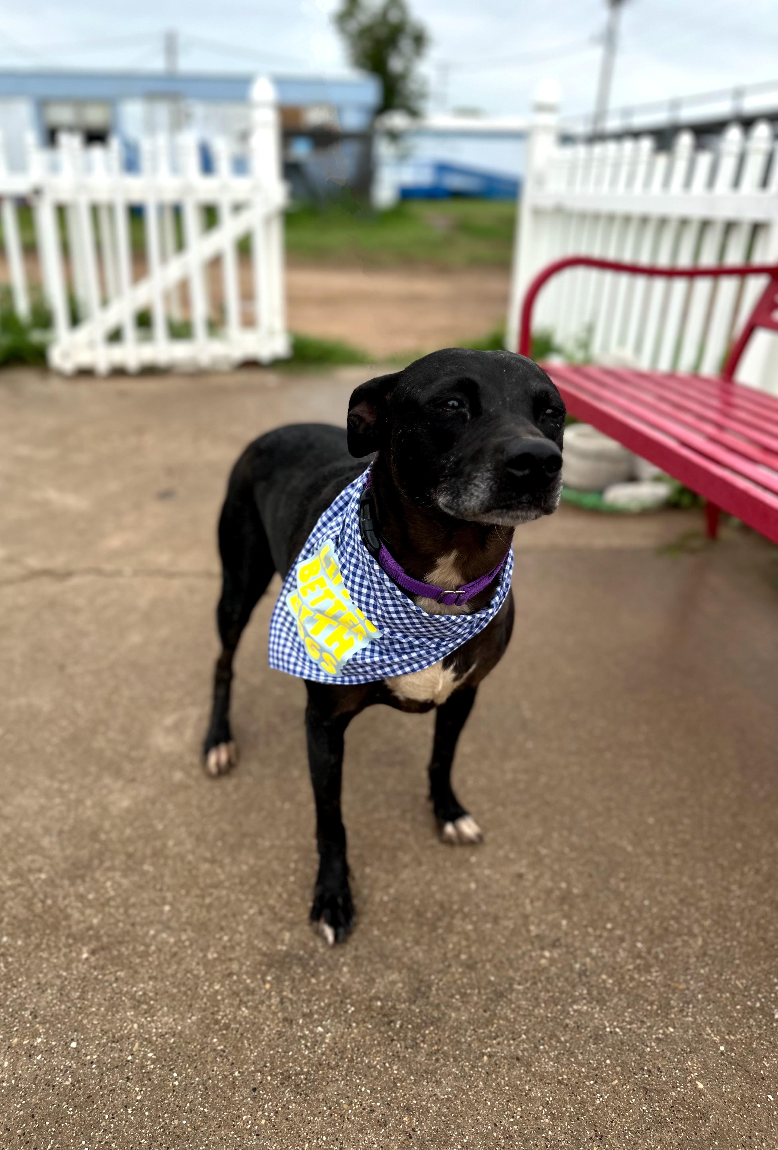 Midnight — thumbnail 2