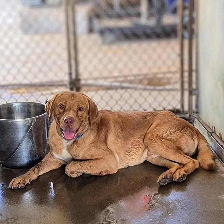 Gatsby — thumbnail 2