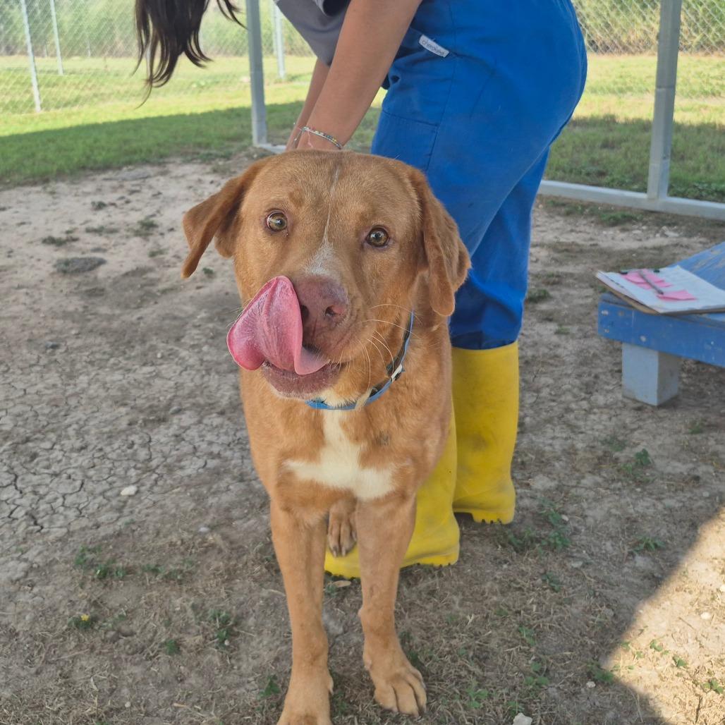 Gatsby — thumbnail 3