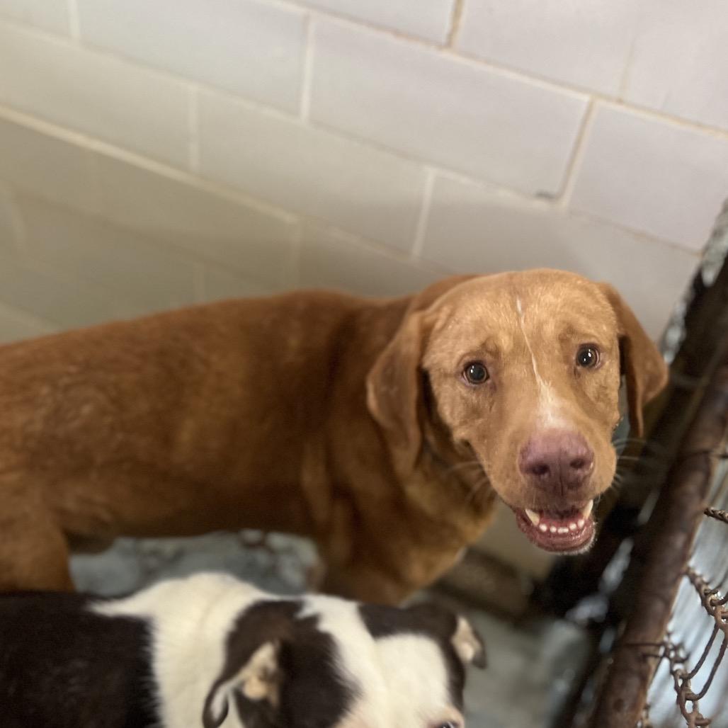 Gatsby — thumbnail 4