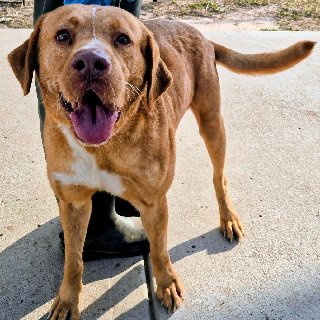 Gatsby — thumbnail 5