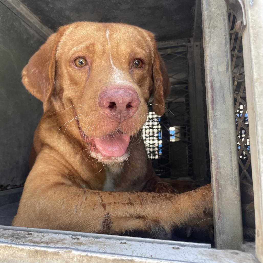 Gatsby — thumbnail 6