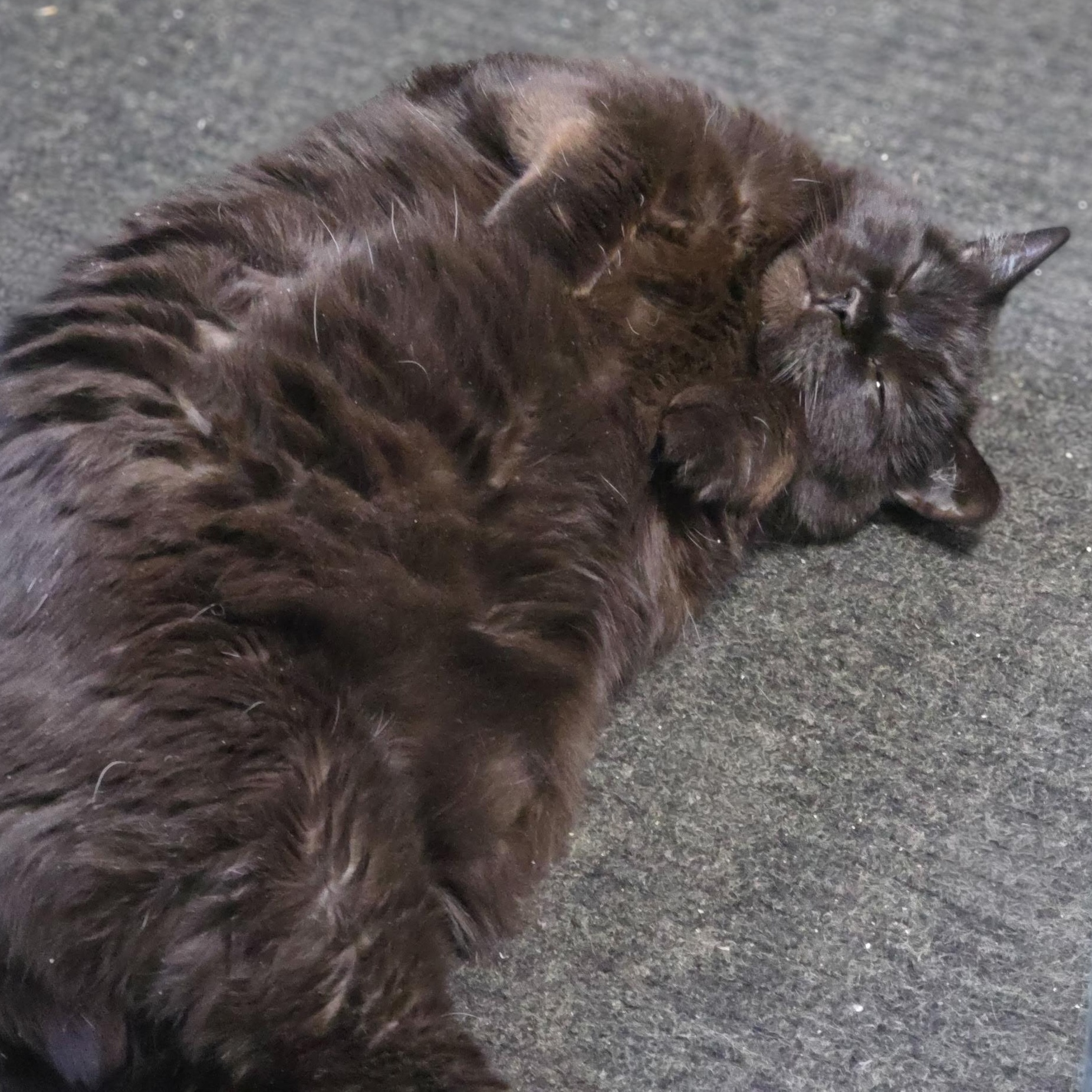 Grace Jones thumbnail 2