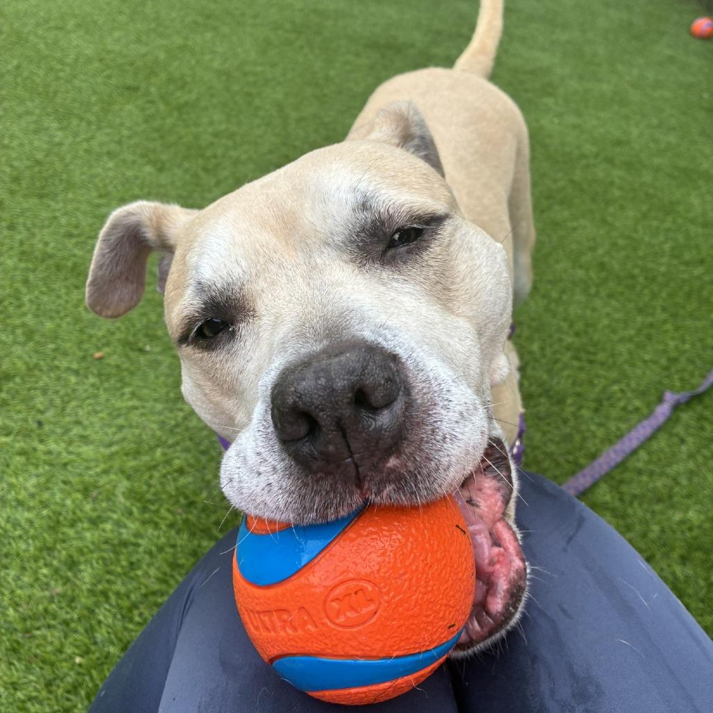 Nori — thumbnail 2