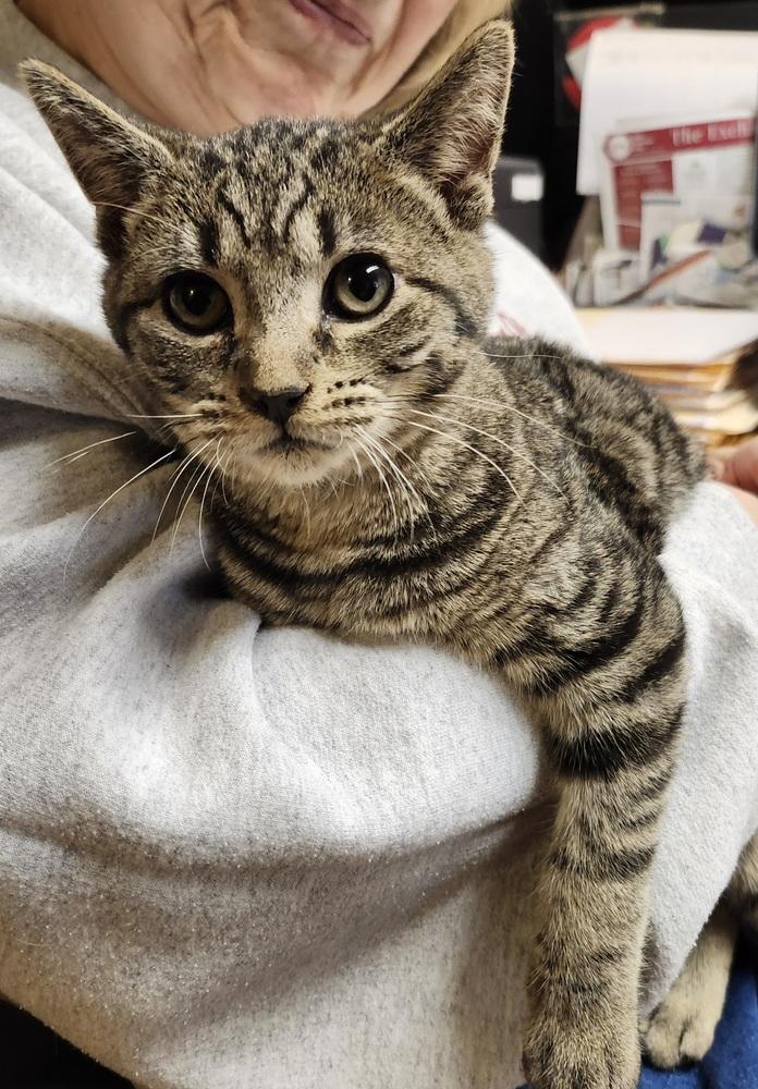 Bane — thumbnail 2