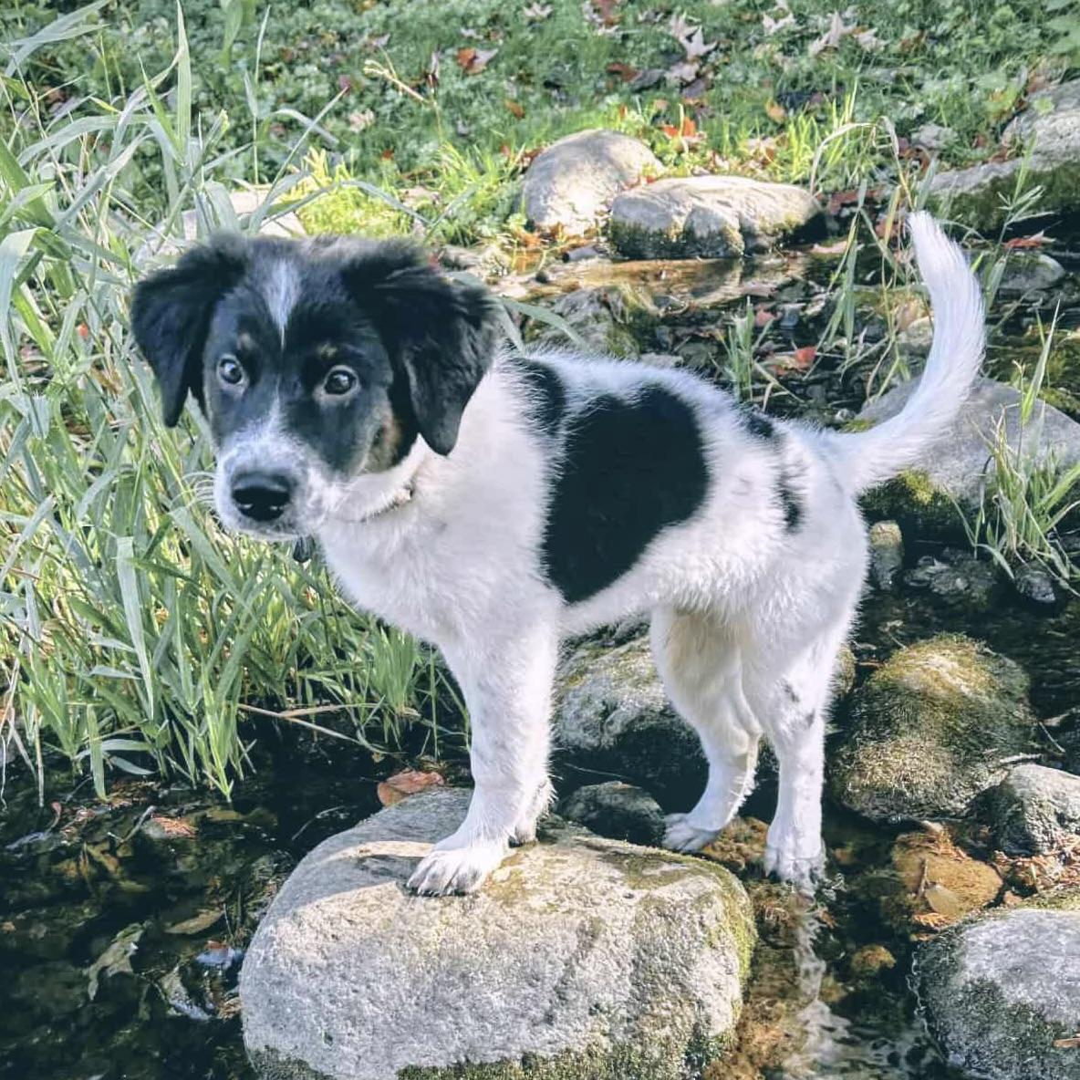 Rider (20250807-20) 1