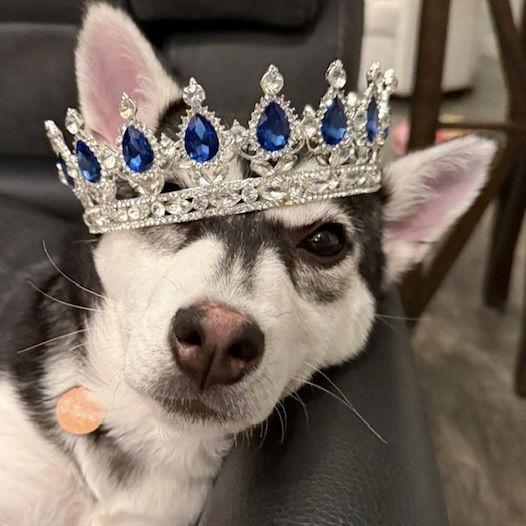 Mallory — thumbnail 2