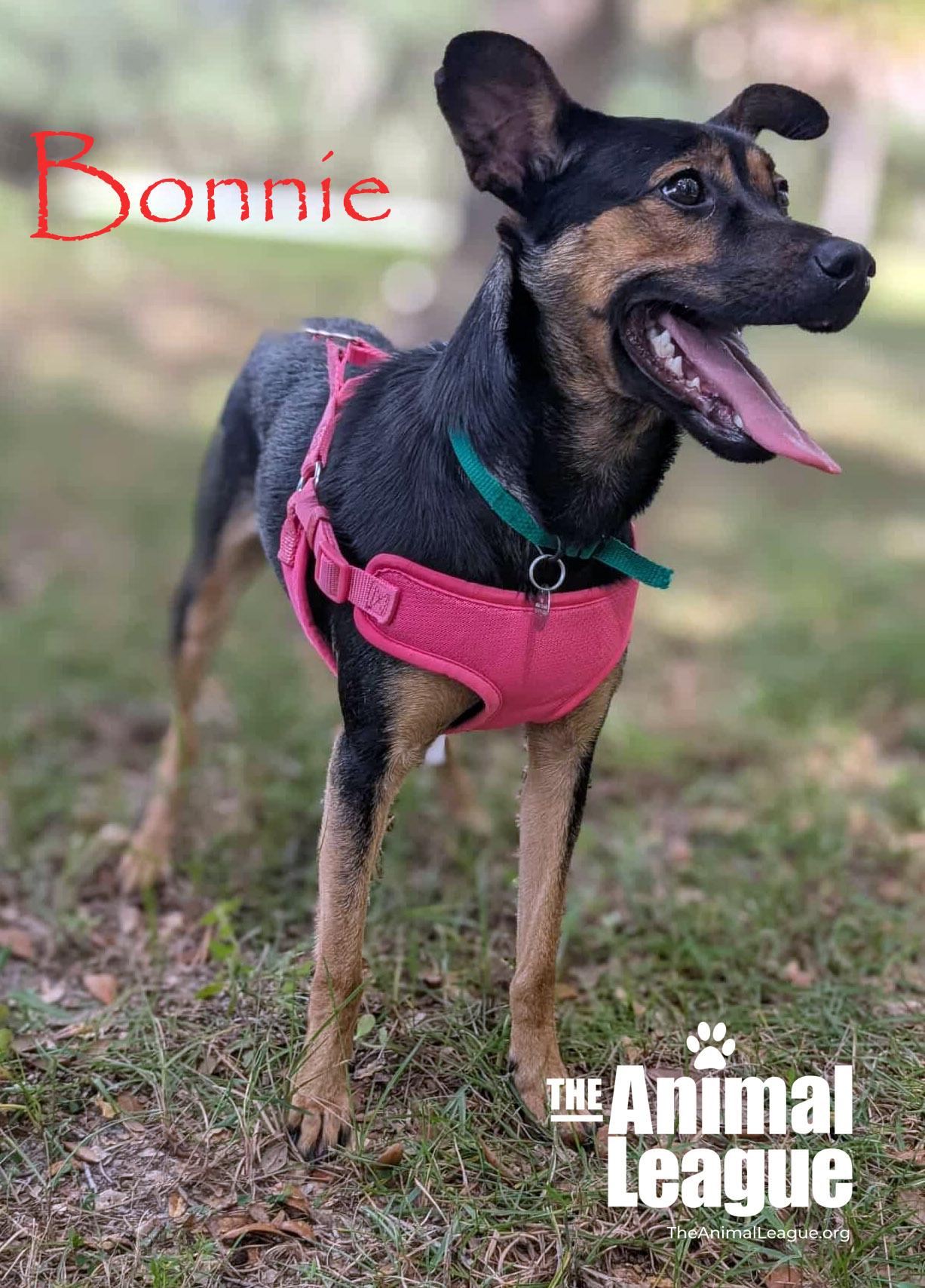 Bonnie