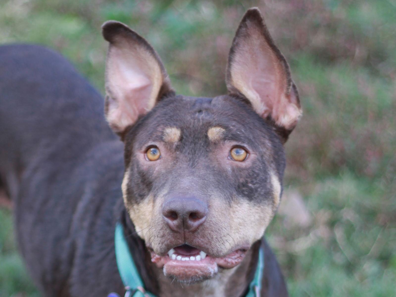 Mei  Meet Me thumbnail 3