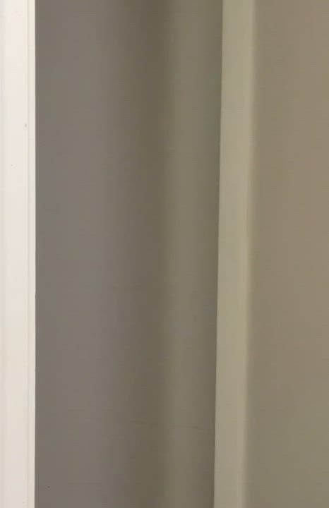 Enlarge Grem, a Adoptable Domestic Long Hair in Wrightstown, NJ video 4/4