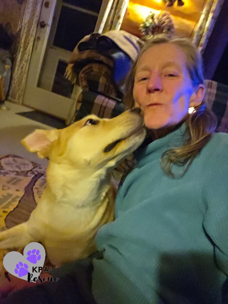 Zora - States Litter Mom, a Adoptable mixed breed in Kenai, AK image 3/6