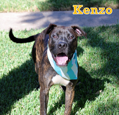 KENZO photo 2