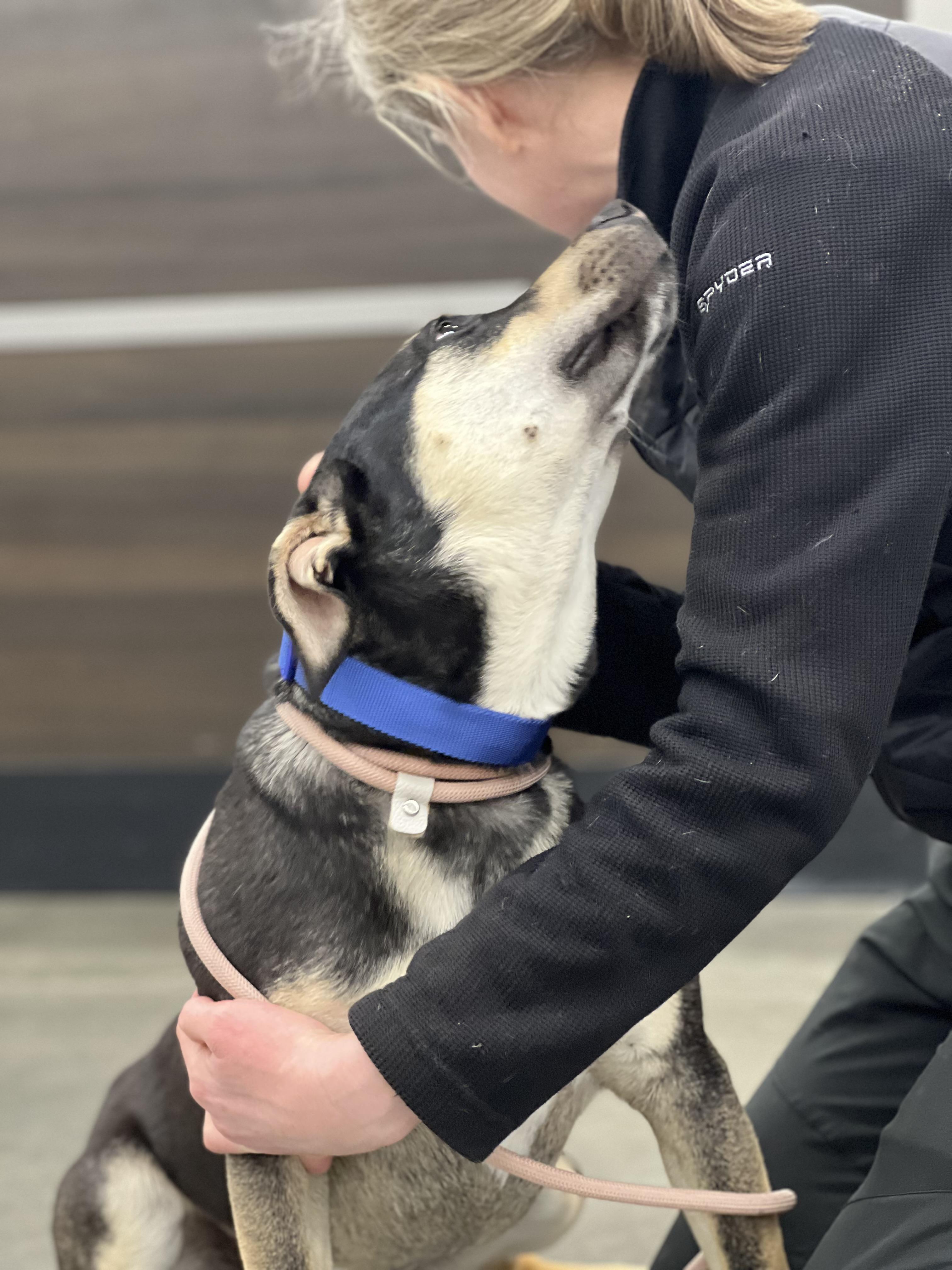 Amos — thumbnail 4