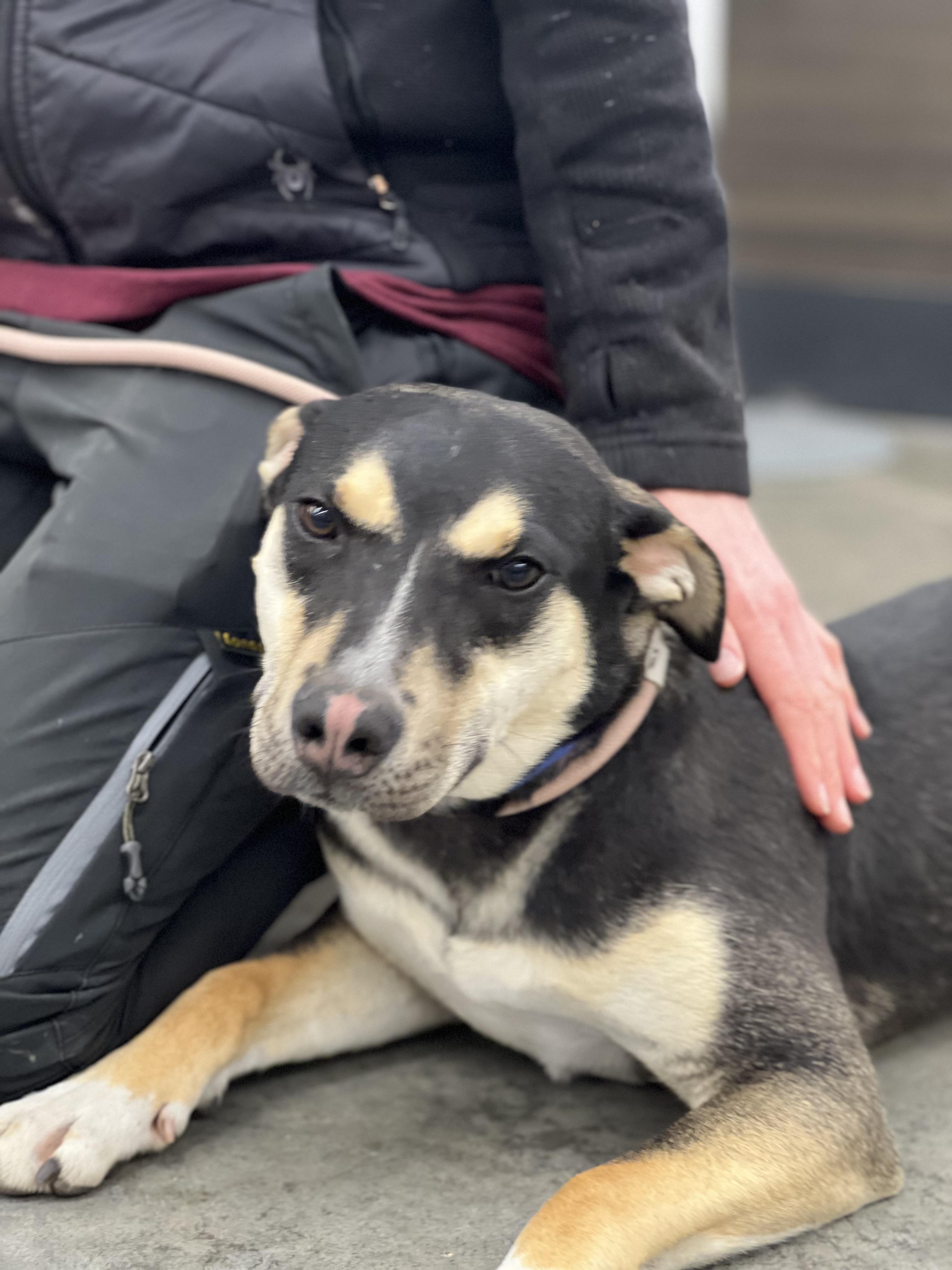 Amos — thumbnail 5