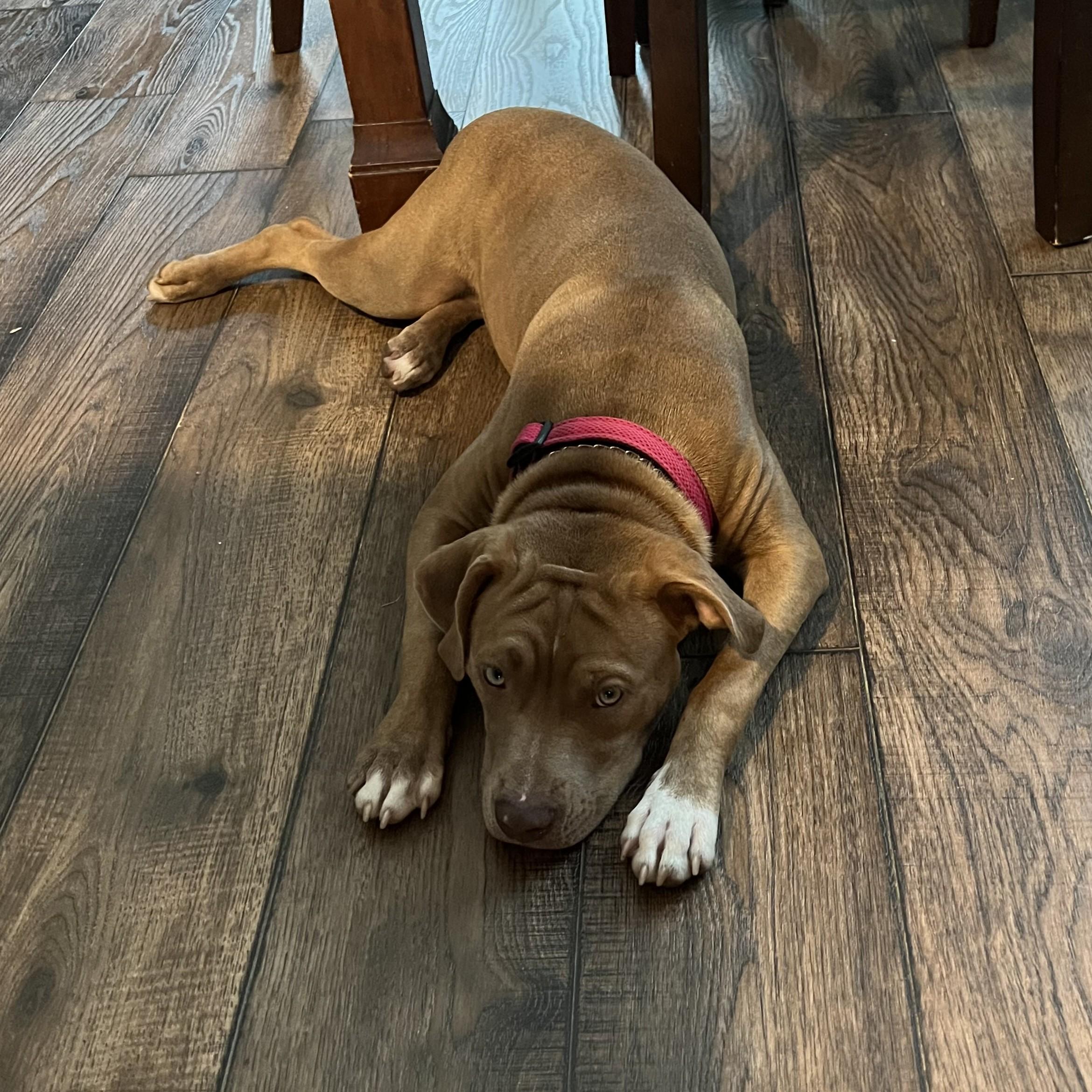 Mocha — thumbnail 2