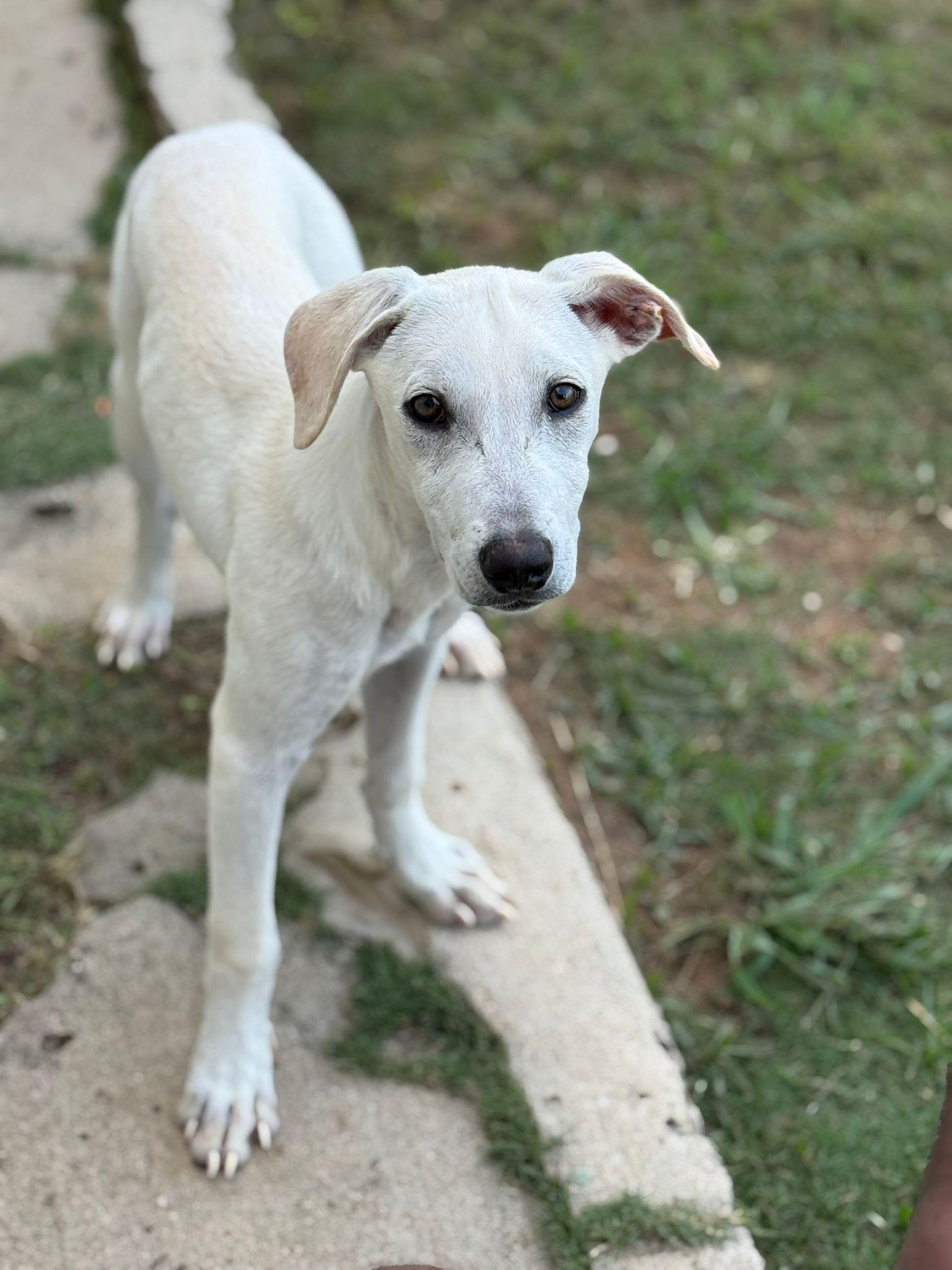 Crayola "will Color Your thumbnail 3